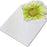 Lime Green 3-D Flower Pop Up Cards - 4" Wide, Set of 25