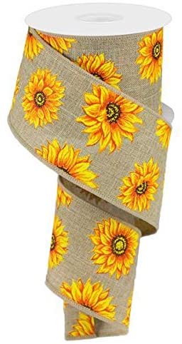 decorative-spring-ribbon