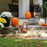 fall-harvest-corgi-garden-flag
