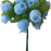 light-blue-rosebuds