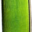 lime-green-easter-basket-ribbon