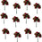 burgundy-rosebuds