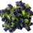 navy-blue-rosebuds-mini-roses