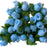 blue-rosebuds-floral-picks