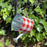 red-and-white-plaid-watering-tin