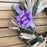 lavender-pull-bows