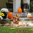 halloween-thanksgiving-flag