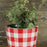 checkered-tin-bucket
