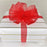 red-sheer-valentine's-day