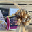 gold-brown-gift-basket-bow