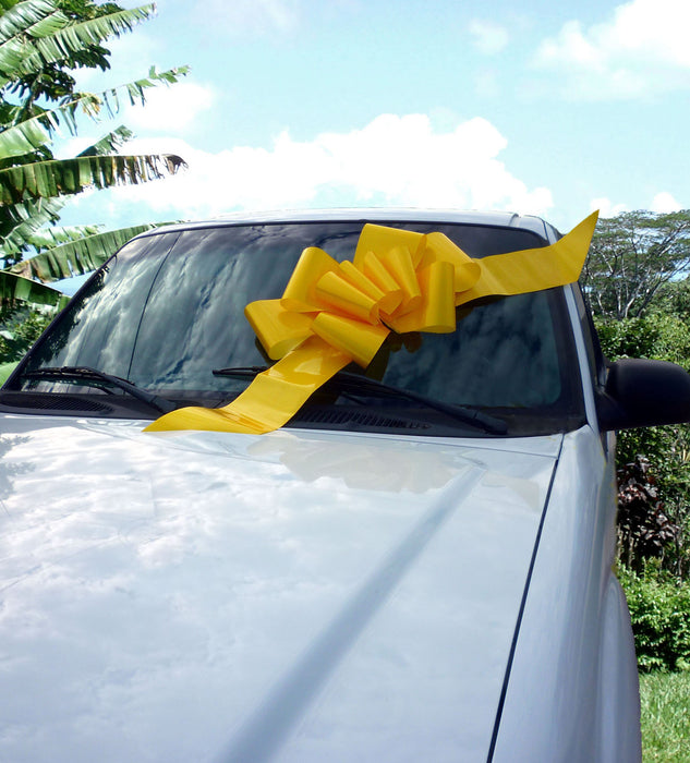 big-yellow-car-bow